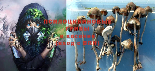гидропоника Алзамай